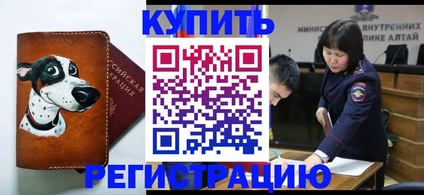 купить прописку в Химках